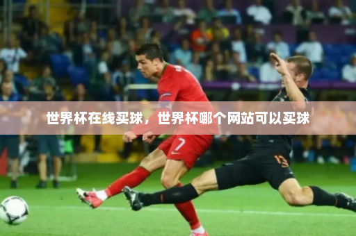 世界杯在线买球，世界杯哪个网站可以买球