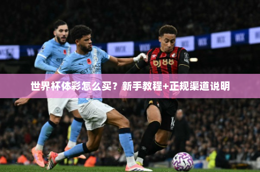 世界杯体彩怎么买？新手教程+正规渠道说明