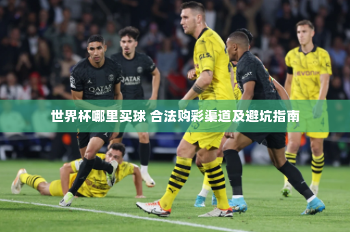 世界杯哪里买球 合法购彩渠道及避坑指南