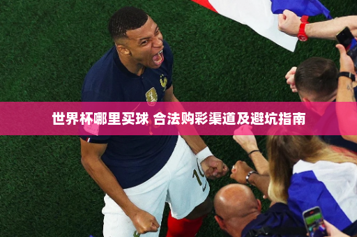 世界杯哪里买球 合法购彩渠道及避坑指南
