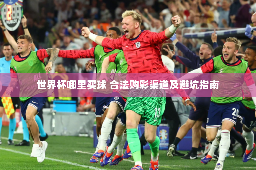 世界杯哪里买球 合法购彩渠道及避坑指南