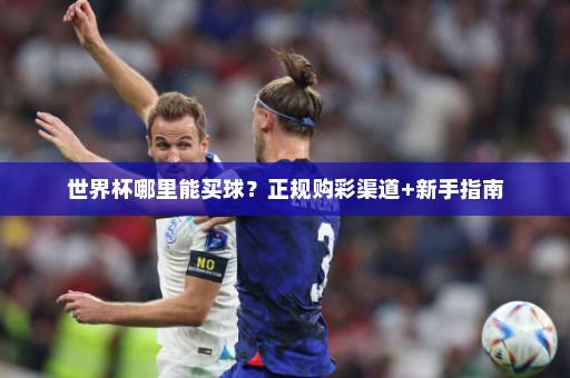 世界杯哪里能买球?正规购彩渠道+新手指南