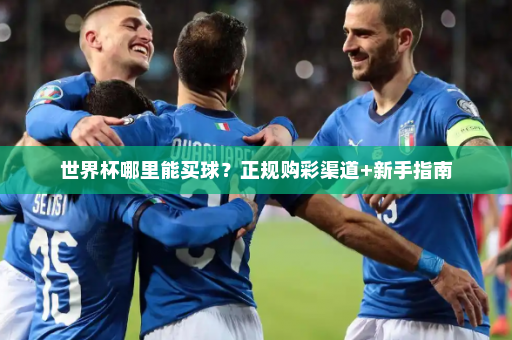 世界杯哪里能买球?正规购彩渠道+新手指南