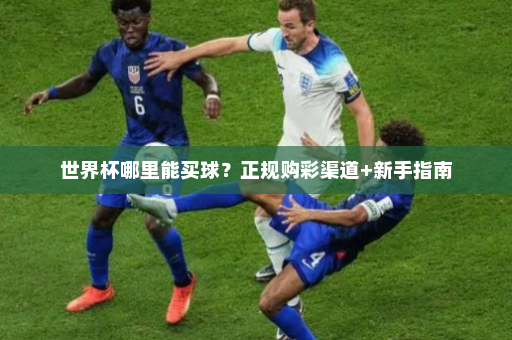 世界杯哪里能买球?正规购彩渠道+新手指南