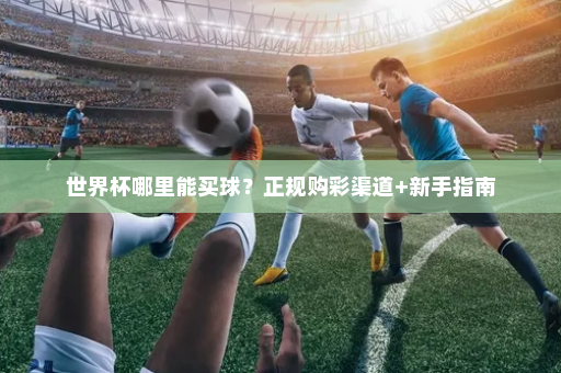 世界杯哪里能买球？正规购彩渠道+新手指南